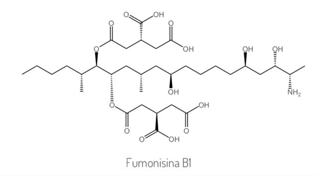 struttura fumonisina B1